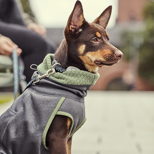 Hurtta Razzle-Dazzle Midlayer - from Dogs Outside in New Zealand